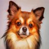 chihuahua Dog diamond painting