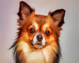 chihuahua Dog diamond painting