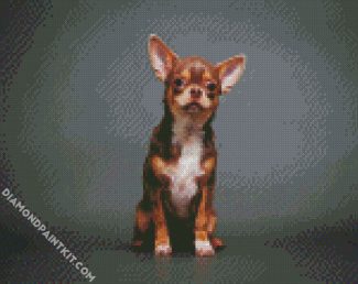 Chihuahua Puppy diamond painting