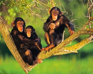 Chimpanzee Family diamond painting