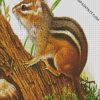 chipmunk Rodent Art diamond paintings