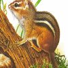 chipmunk Rodent Art diamond painting