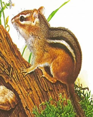 chipmunk Rodent Art diamond painting