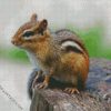 Chipmunk diamond painting