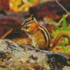 Chipmunk Eating diamond painting