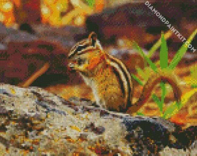 Chipmunk Eating diamond painting