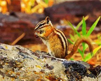 Chipmunk Eating diamond painting