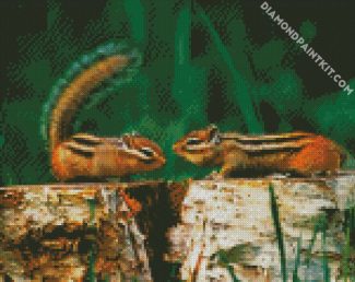 Chipmunks Animals diamond painting