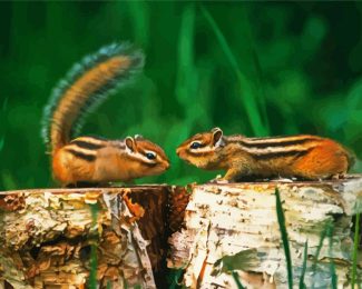 Chipmunks Animals diamond painting