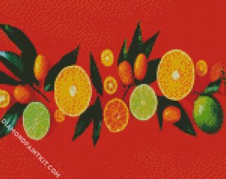 Citrus diamond painting