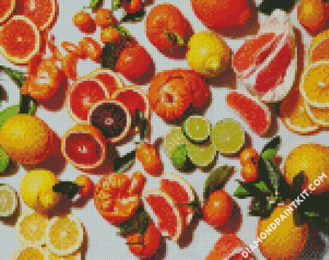 Citrus Fruit diamond painting