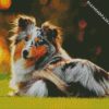 collie dog diamond paintings