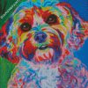 colorful cockapoo diamond paintings