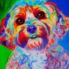 colorful cockapoo diamond painting