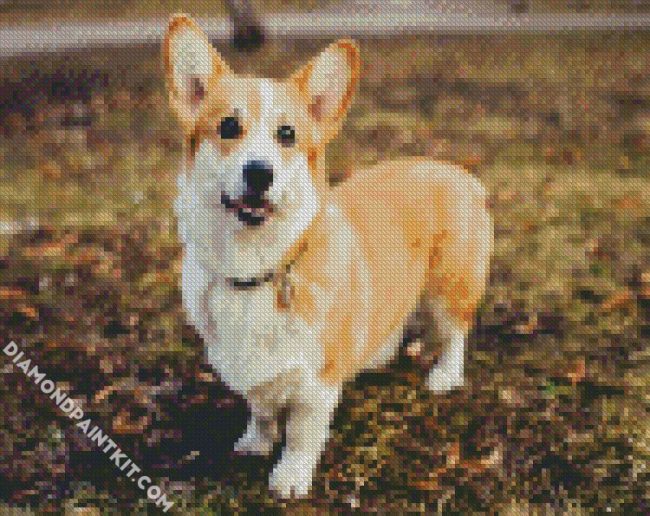 Cute Corgis diamond painting