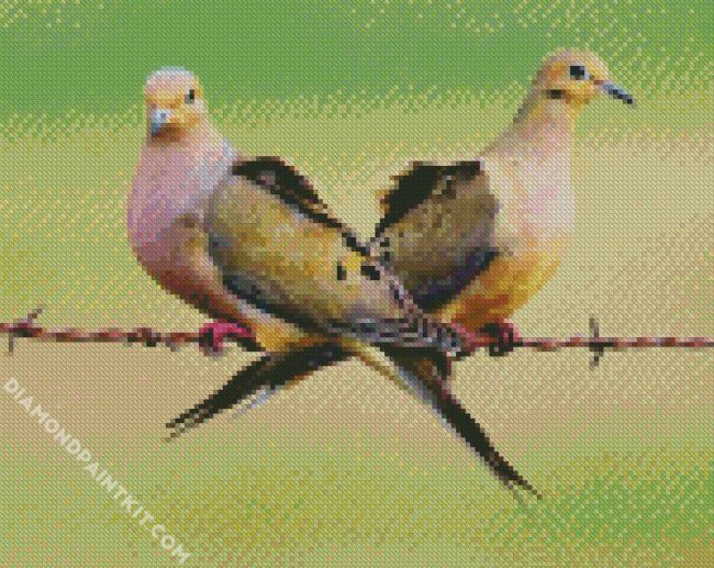 Cute Doves diamond painting