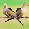 Cute Doves diamond painting