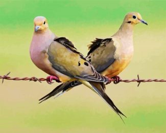 Cute Doves diamond painting