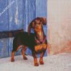 Cute Doxie diamond painting