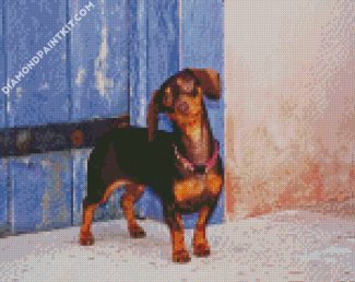 Cute Doxie diamond painting