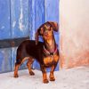 Cute Doxie diamond painting