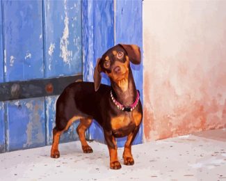 Cute Doxie diamond painting