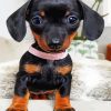 Cute Doxie Puppy diamond painting