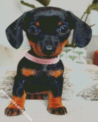 Cute Doxie Puppy diamond painting