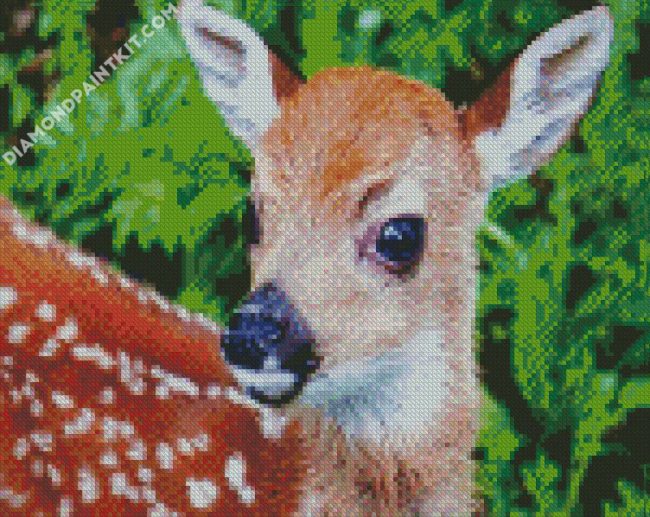 cute Fawn diamond paintings