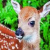 cute Fawn diamond painting