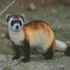 cute Ferrets diamond paintings