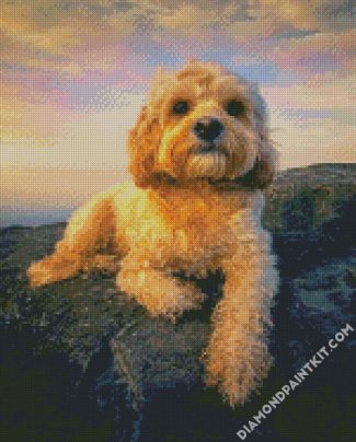 cute cockapoo diamond paintings