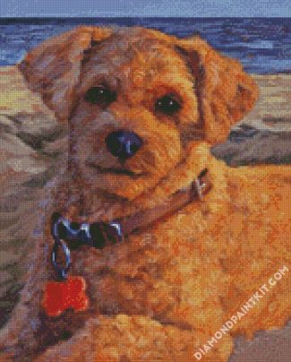 cute cockapoo puppy diamond paintings