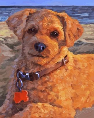 cute cockapoo puppy diamond painting