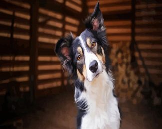 cute collie puppy diamond painting