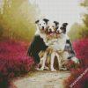 cute collies diamond paintings