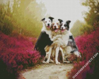 cute collies diamond paintings