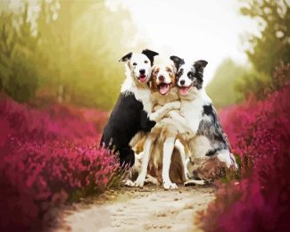 cute collies diamond painting