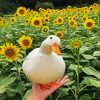 Cute Duck And Sun Flowers diamond painting