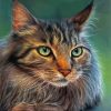 Cute Maine Coon diamond painting