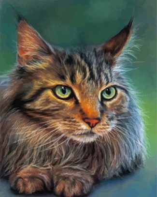 Cute Maine Coon diamond painting