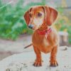 dachshund Puppy Dog diamond paintings