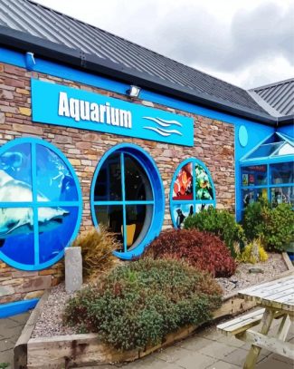 dingle oceanworld aquarium diamond painting