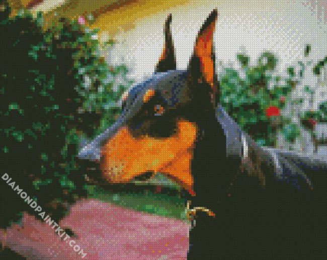 Doberman Pinscher Dog Breed diamond painting