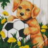 Dog And Football diamond painting