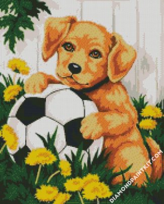 Dog And Football diamond painting