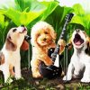 Dog Rock Band diamond painting