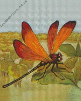 dragonfly diamond paintings