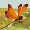 dragonfly diamond painting