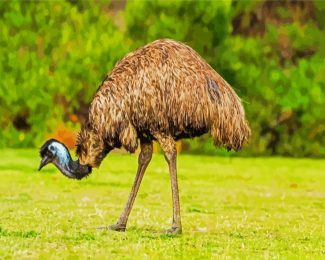 emu bird diamond painting